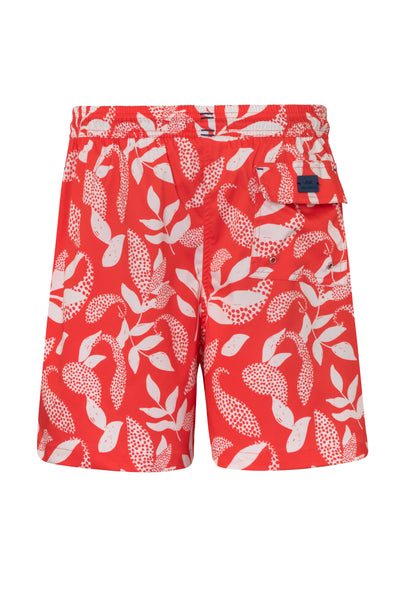 Cairo Red Trunk